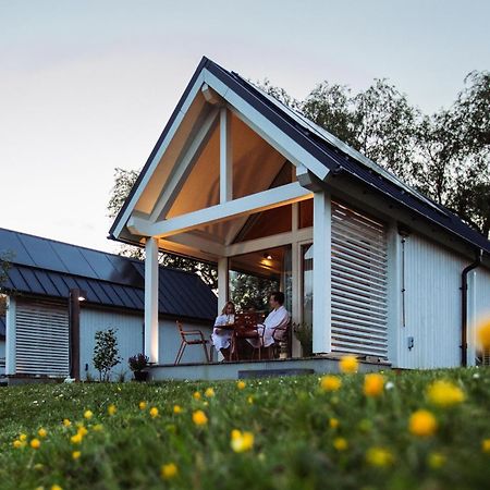 Appartement Tiny House - Optioneel Met Hottub à Dokkum Chambre photo